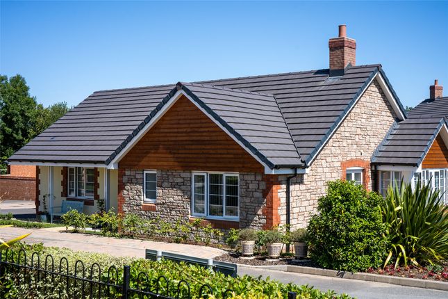 Thumbnail Bungalow for sale in Bee Meadow, North Road, South Molton, Devon