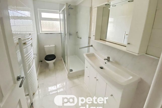 3, Mountain Ash photo 4