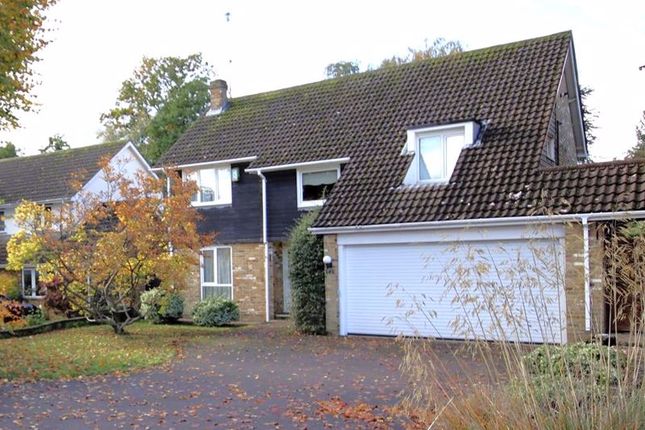 Thumbnail Detached house for sale in Hanging Hill Lane, Hutton, Brentwood