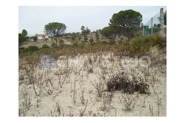 Thumbnail Land for sale in Carregueiros, Tomar, Santarém