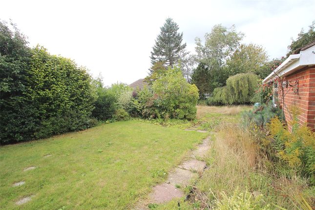 Murett,, Hoads Hill, Fareham photo 4