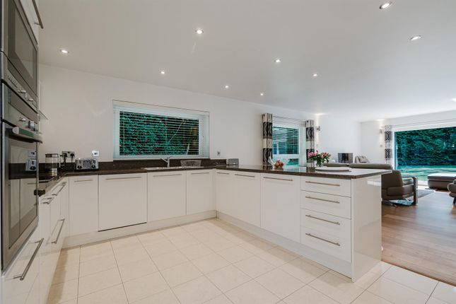 Living Room And Dining Kitchen
