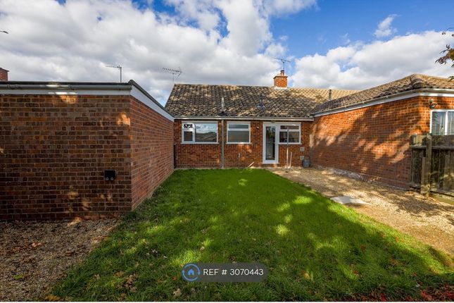Cedar Avenue, Kesgrave, Ipswich photo 3
