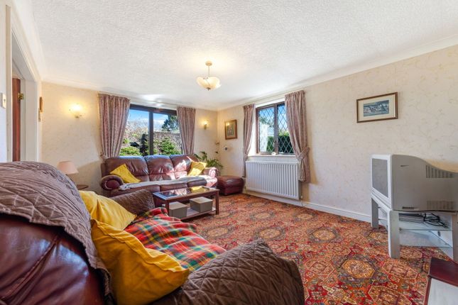 Copperbeech, Morpeth photo 4