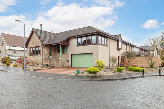 Thumbnail Detached bungalow for sale in Arns Grove, Alloa