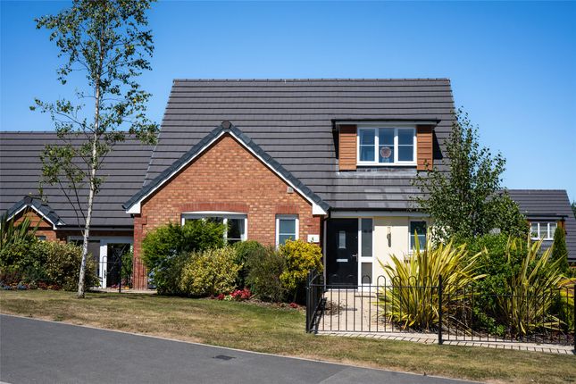 Thumbnail Bungalow for sale in Bee Meadow, North Road, South Molton, Devon