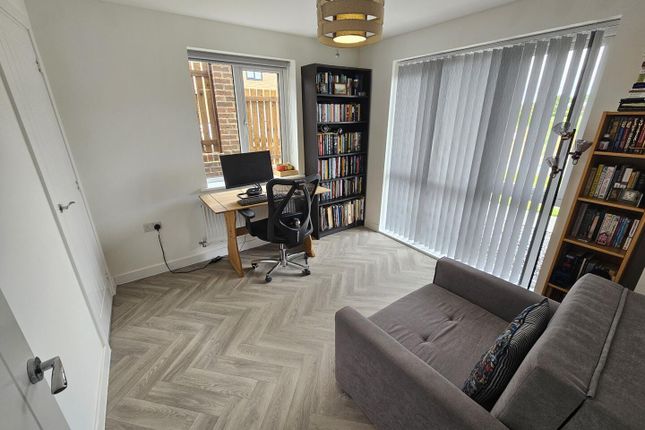 Study/Bedroom 5
