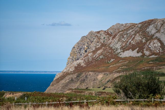 1 The Stables, Natures Point, Pwllheli photo 3