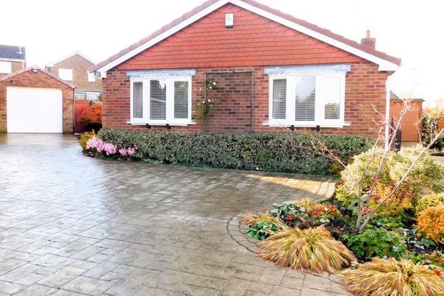 Thumbnail Bungalow for sale in Holly Close, Moira