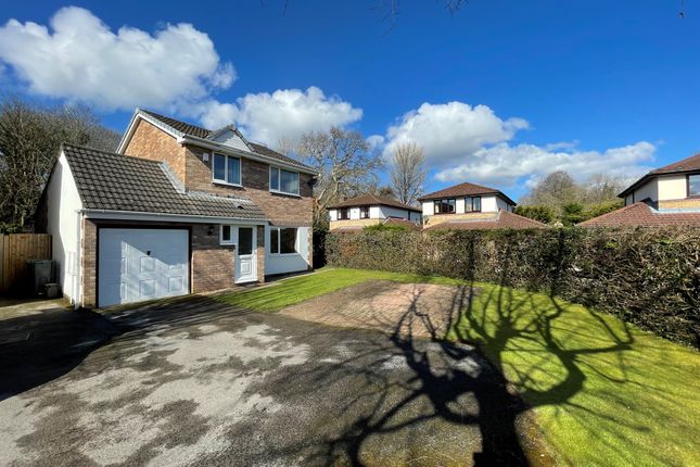 Thumbnail Detached house for sale in Clos Tyclyd, Cardiff
