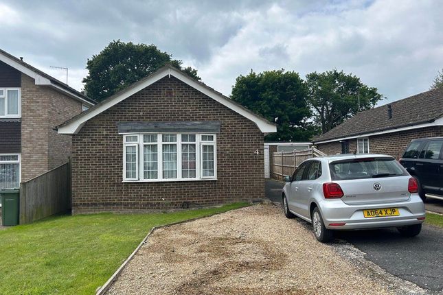 Thumbnail Bungalow to rent in Collington Park Crescent, Bexhill-On-Sea