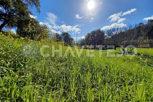 Thumbnail Land for sale in Brazões, Carregueiros, Tomar