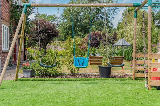 Play Area