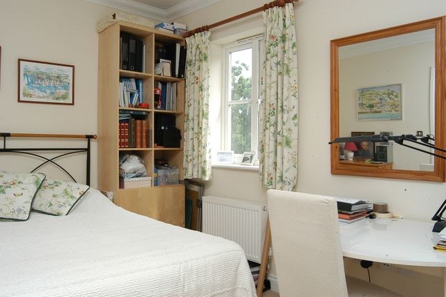 Brockwell Park Row, Brockwell Park photo 4