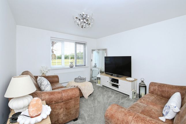 12, Bedstone Way, Peterborough photo 3