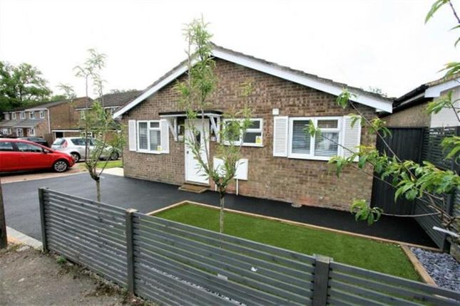 Detached bungalow for sale in Larch Avenue, Bricket Wood, St. Albans