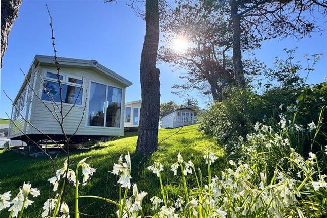 Willerby Rio