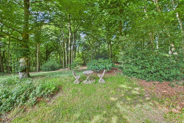 Woodland