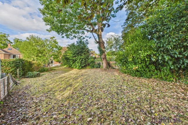 56, Little Green Lane, Chertsey photo 3