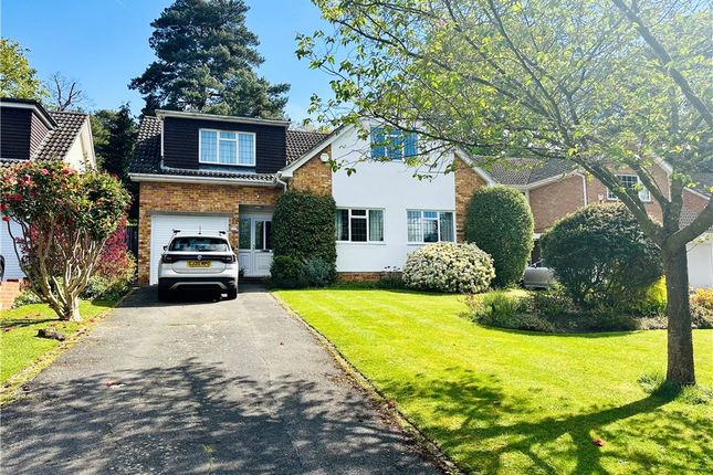 Thumbnail Detached house to rent in Fox Close, Woking, Surrey