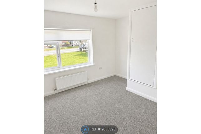 Primrose Gardens, Ouston, Chester Le Street photo 5