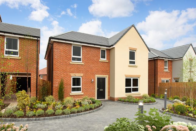 Thumbnail Detached house for sale in "Fallow" at Bent House Lane, Durham