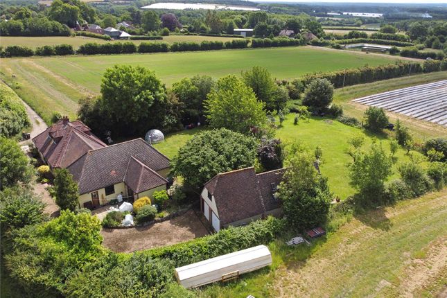 Thumbnail Detached house for sale in The Green, West Peckham, Maidstone, Kent