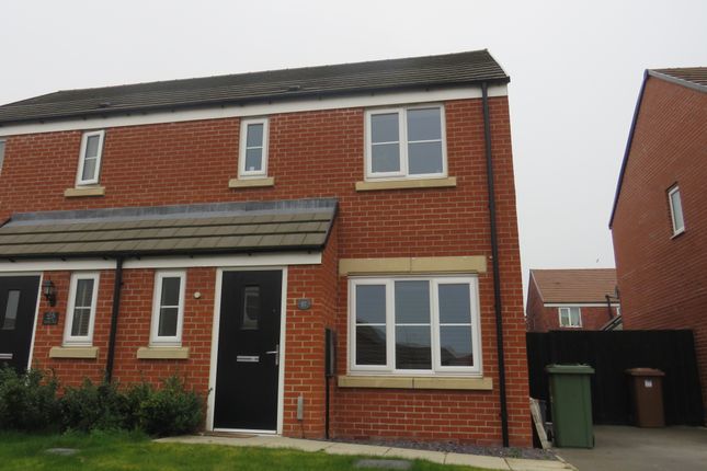 Thumbnail Semi-detached house to rent in Clovelly Drive, Hampton Gardens, Peterborough