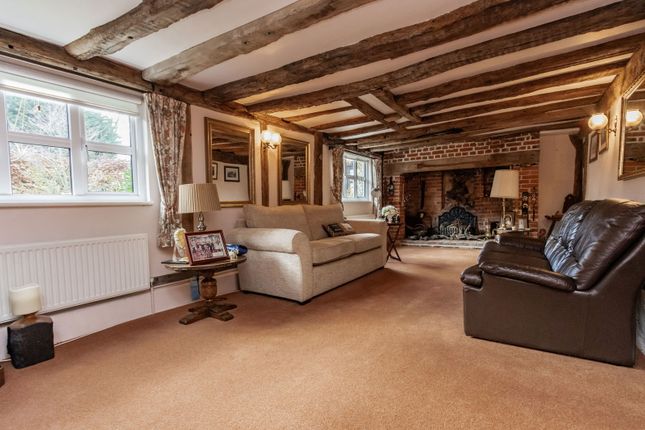 Chestnut Tree, Benover Road, Maidstone photo 5