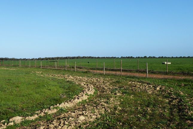 Farm for sale in Portugal, Beja, Castro Verde., Castro Verde E Casével, Castro Verde, Beja, Alentejo, Portugal