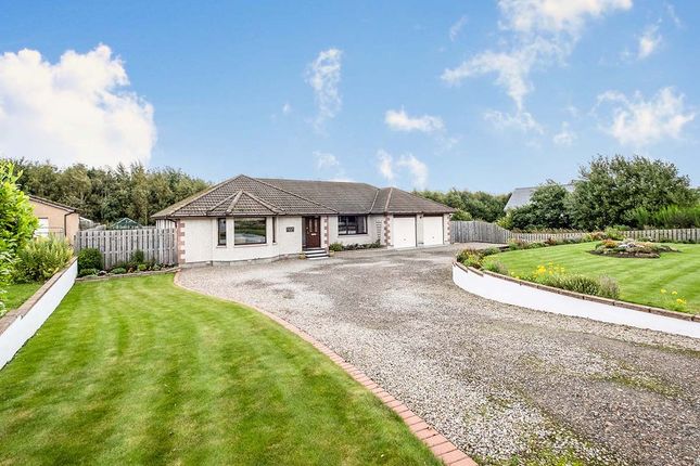 Thumbnail Bungalow for sale in Auldearn, Nairn