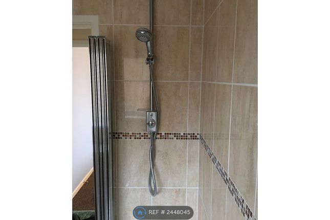 Bathroom (Shower)