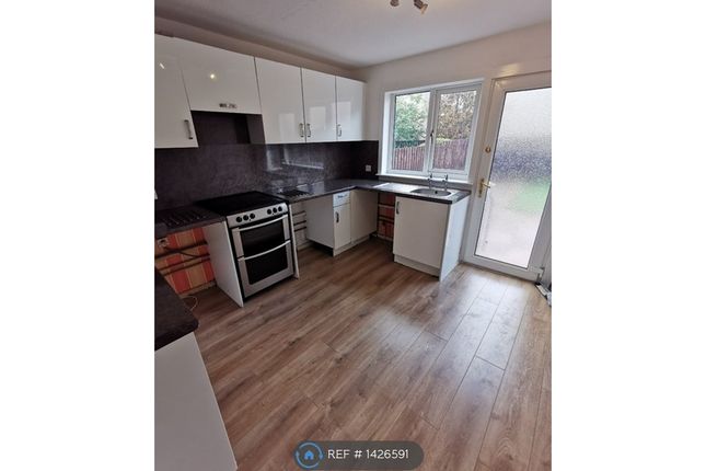 Thumbnail Terraced house to rent in Cairnduff Place, Stewarton, Kilmarnock