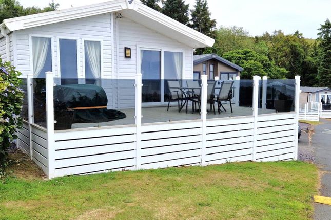 Lodge, Willerby Pinehurst, Borth, Borth photo 3
