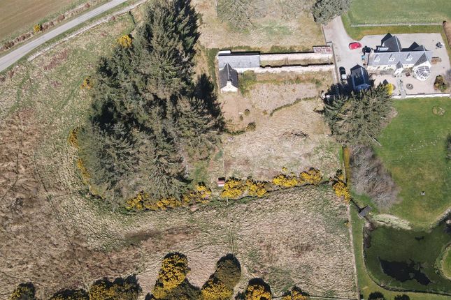 Land for sale in Trentham Farm Steading, Skelbo, Dornoch, Sutherland