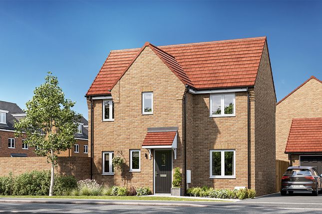 Thumbnail Detached house for sale in "The Whitewater" at Arnold Lane, Gedling, Nottingham