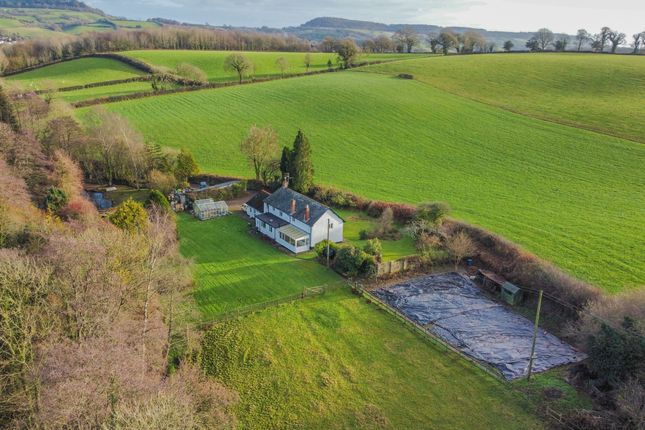 Beatlands Farm, Metcombe, Ottery Saint Mary photo 3