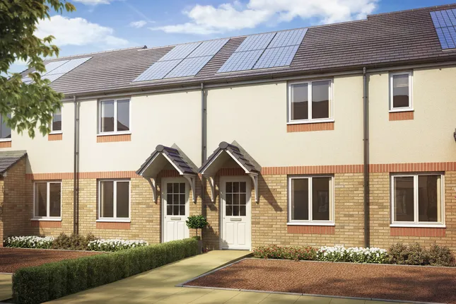 Persimmon Homes - The Hawthorns