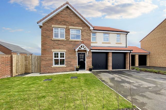 Thumbnail Detached house for sale in Draper Close, Alnwick