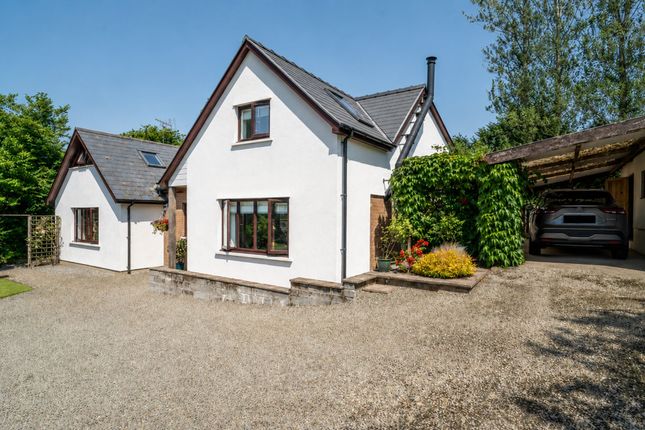 Beechwood, Llandysul photo 2
