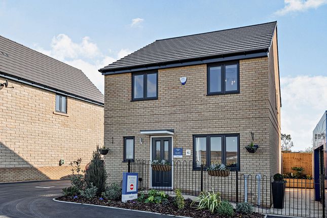 Detached house for sale in "The Lambeth" at Fitzhugh Rise, Wellingborough