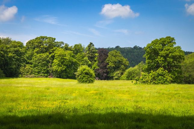 Pasture Field