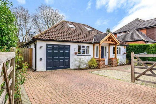 Thumbnail Bungalow for sale in Orchard Avenue, Woodham, Addlestone