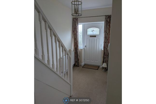 Taunton photo 3
