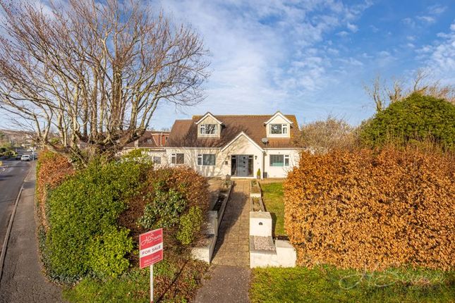 Thumbnail Detached house for sale in Shiphay, Torquay