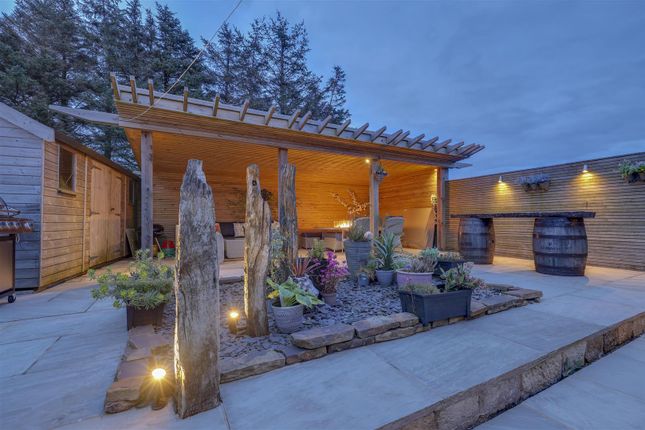 Side Garden By Night