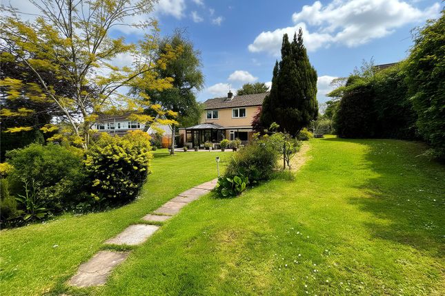 8, Grove Hill, Pembrokeshire photo 4
