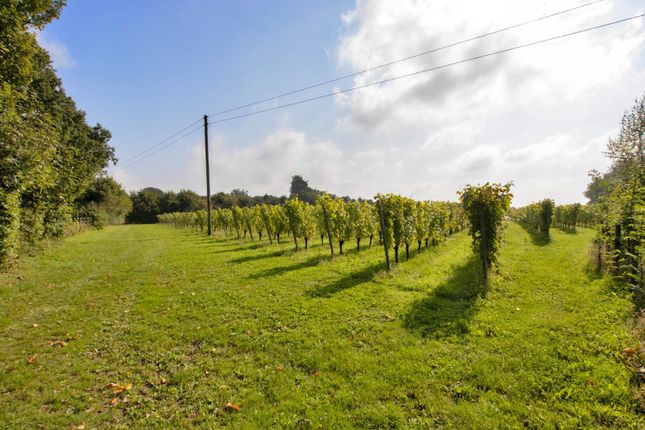 Lot 2 - Holiday Lets - Chalksole Manor, Alkham, Alkham photo 3