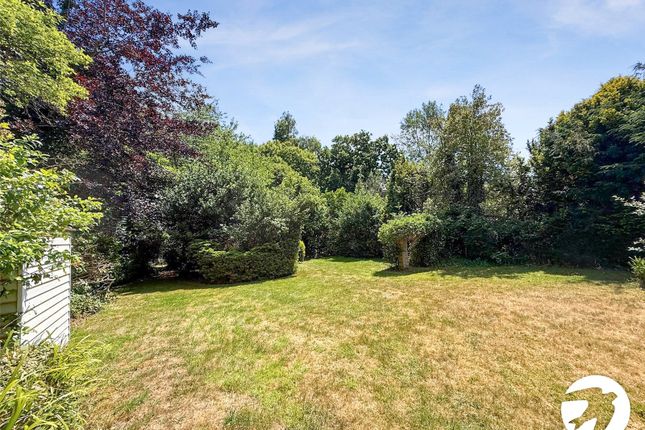 Communal Garden