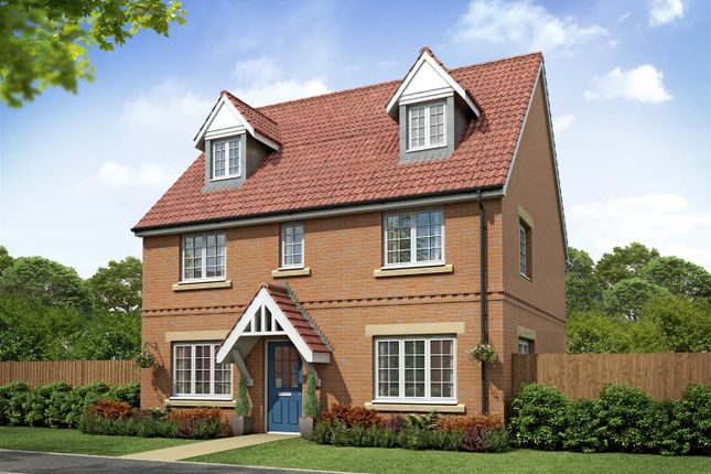 Thumbnail Detached house for sale in Hampden View, Costessey